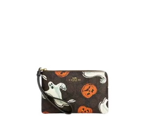 Buy Coach Corner Zip Wristlet Walnut Multicolor at Sasom – Authentic and Ready to Ship