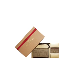 Buy Coach Boxed Anna Foldover Clutch Crossbody And Card Case Set Khaki at Sasom – Authentic and Ready to Ship