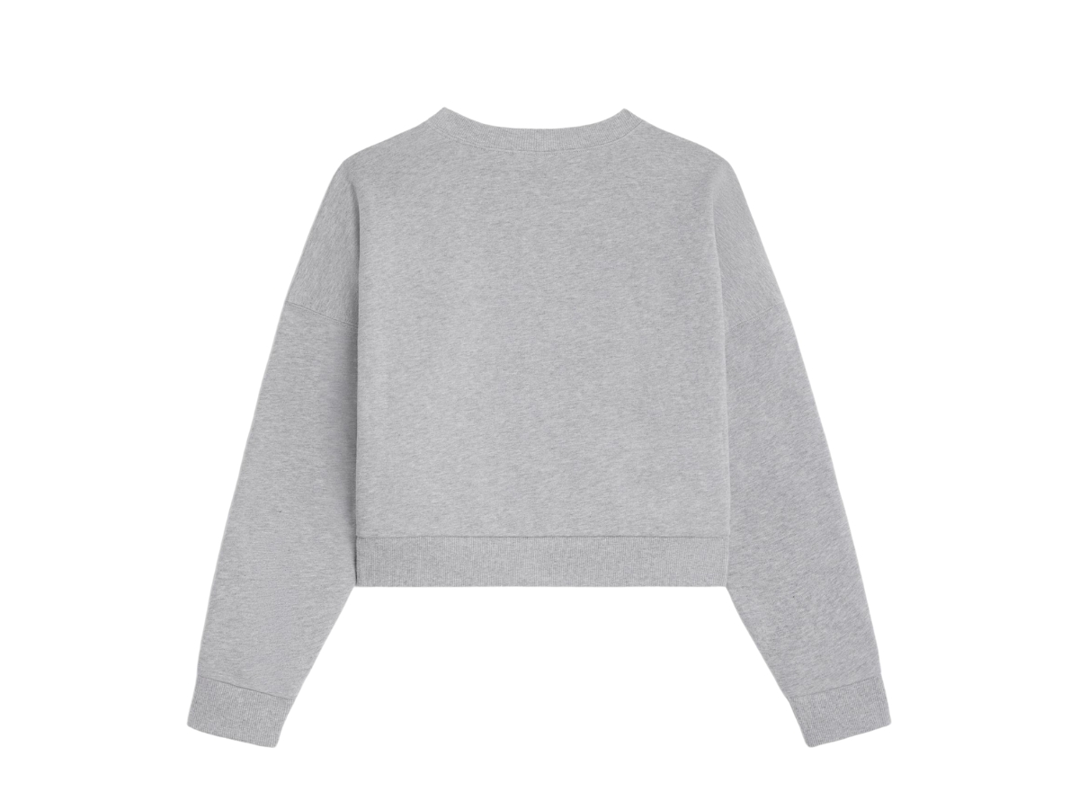 https://d2cva83hdk3bwc.cloudfront.net/celine-loose-sweatshirt-in-cotton-fleece-grey-off-white-2.jpg