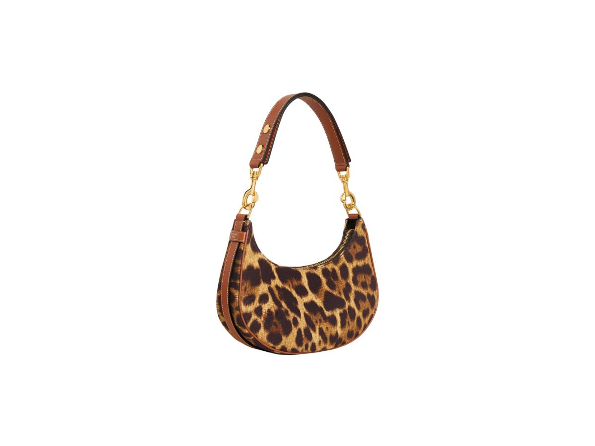 https://d2cva83hdk3bwc.cloudfront.net/celine-medium-ava-strap-bag-in-textile-with-leopard-print-natural-tan-2.jpg
