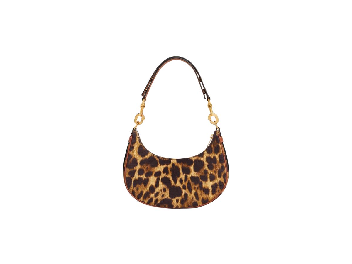 https://d2cva83hdk3bwc.cloudfront.net/celine-medium-ava-strap-bag-in-textile-with-leopard-print-natural-tan-3.jpg