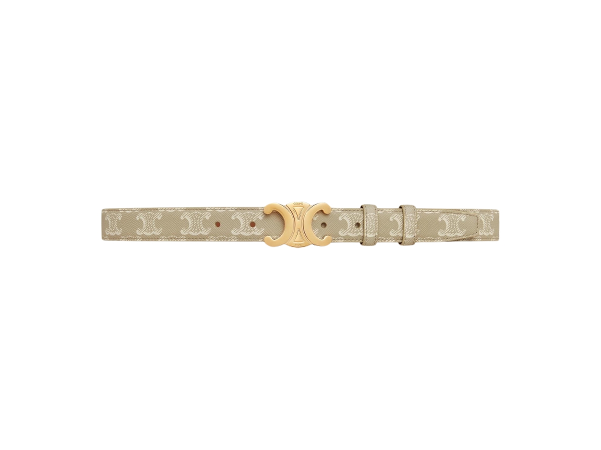 Celine Medium Triomphe Belt 25MM In Triomphe Canvas With