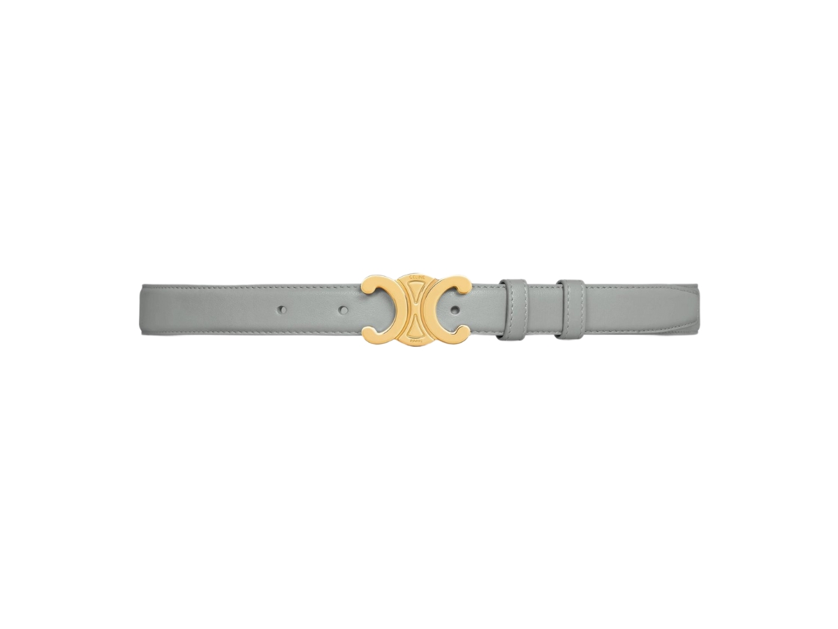 Celine Medium Triomphe Belt In Taurillon Leather With Gold