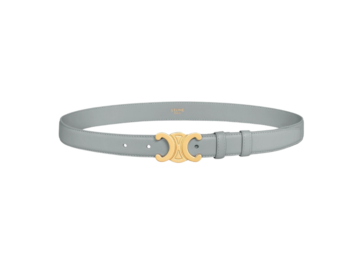 Celine Medium Triomphe Belt In Taurillon Leather With Gold