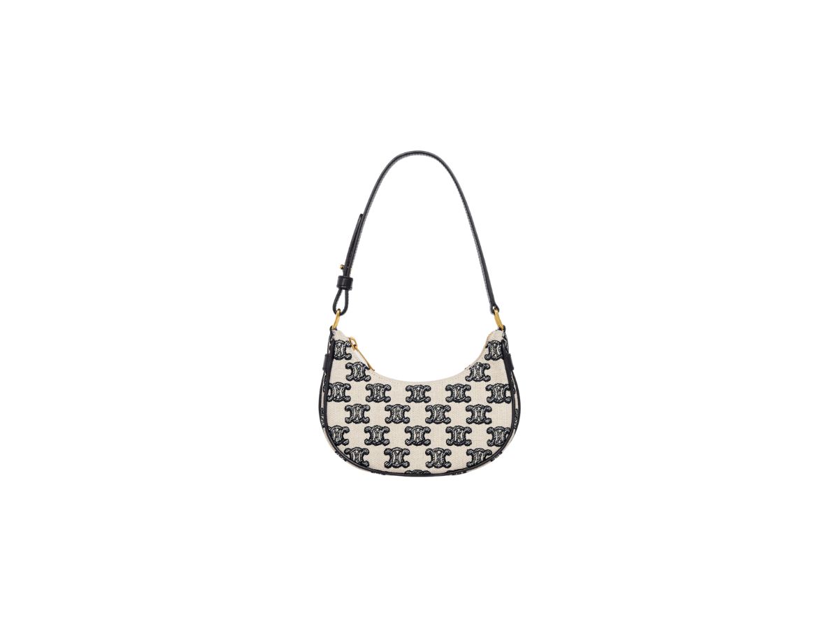 https://d2cva83hdk3bwc.cloudfront.net/celine-mini-ava-in-triomphe-embroidery-black-1.jpg