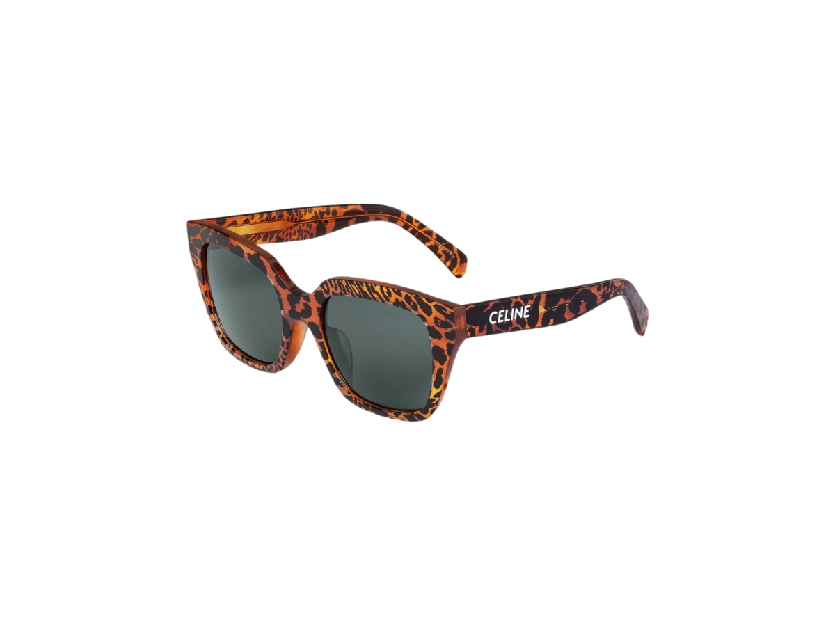https://d2cva83hdk3bwc.cloudfront.net/celine-monochroms-03-sunglasses-in-acetate-leopard-havana-with-smoke-lenses-2.jpg