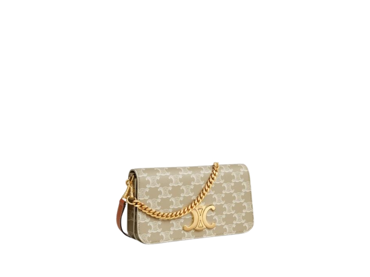 https://d2cva83hdk3bwc.cloudfront.net/celine-multipochette-in-triomphe-canvas-and-calfskin-with-gold-finishing-grege-3.jpg