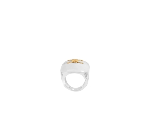 Buy Celine Triomphe Ring In Plexiglass And Brass With Gold Finish Transparent And Gold at Sasom – Authentic and Ready to Ship