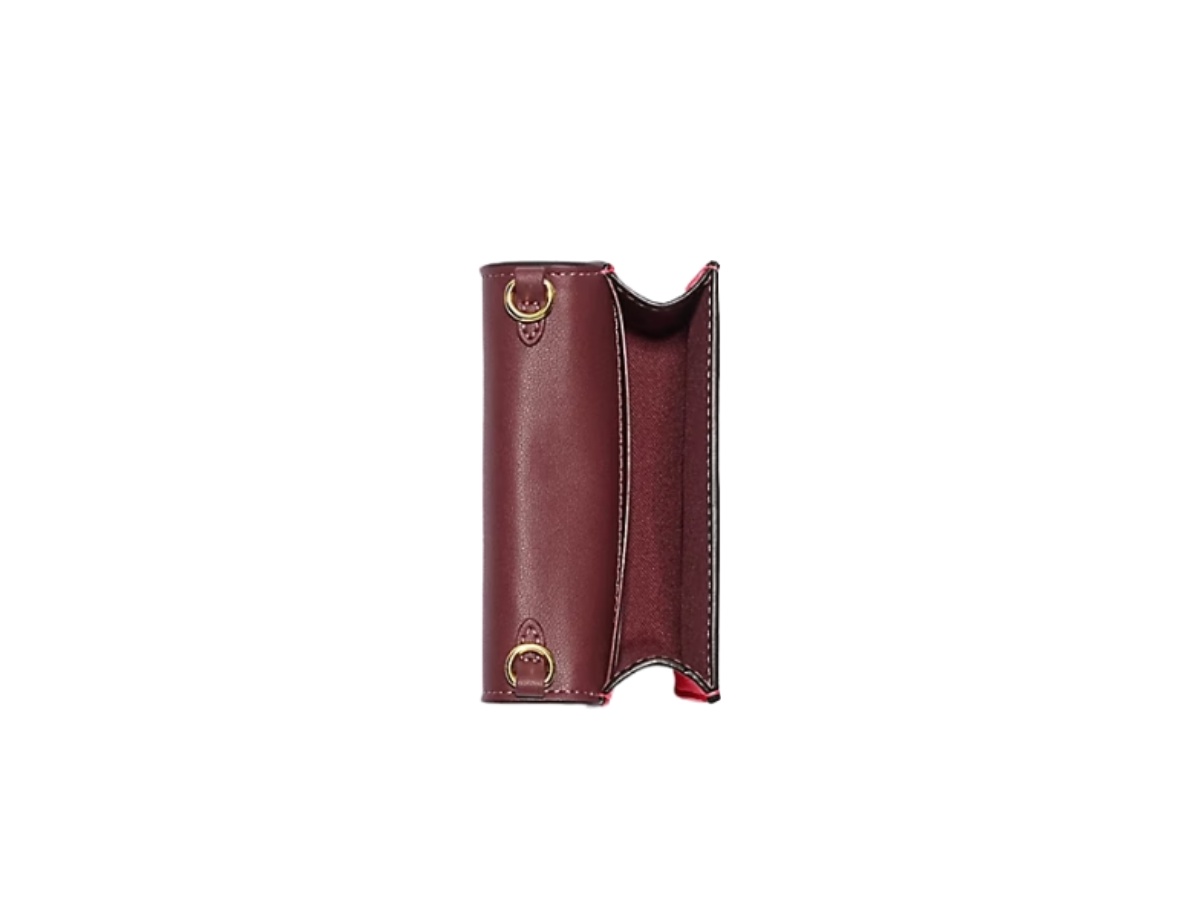 https://d2cva83hdk3bwc.cloudfront.net/ch355-coach-mini-wallet-on-a-chain-with-strawberry-brown-3.jpg