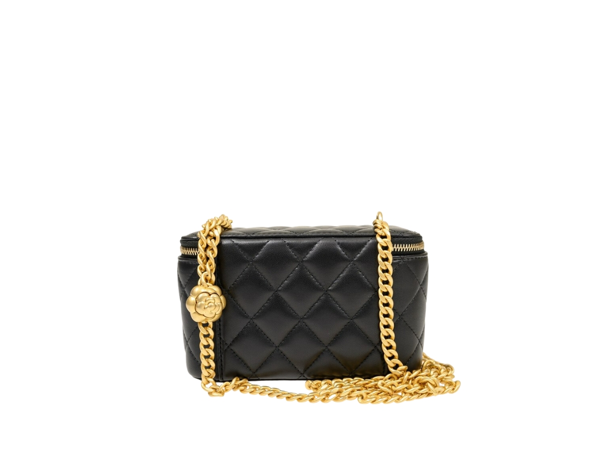 https://d2cva83hdk3bwc.cloudfront.net/chanel-vanity-case-adjustable-in-grained-calfskin-with-gold-hardware-black-2.jpg