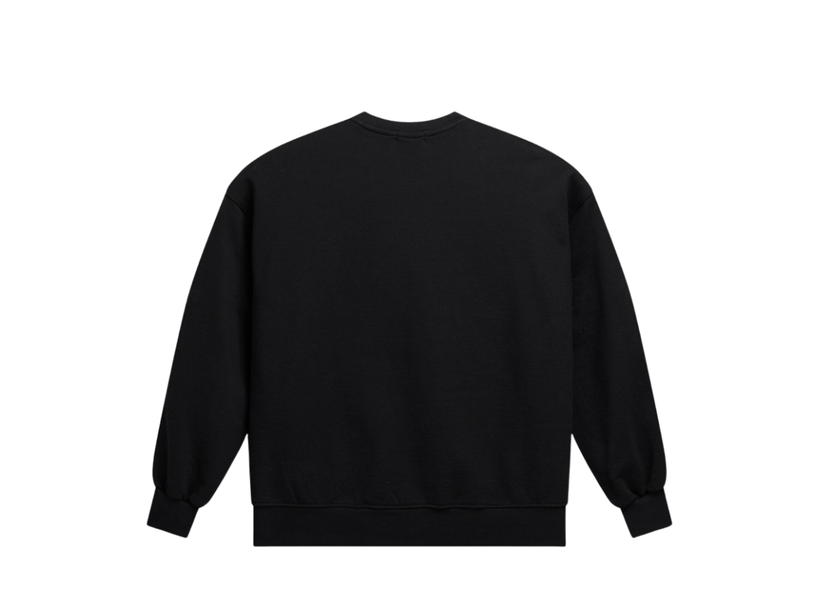 https://d2cva83hdk3bwc.cloudfront.net/cnv-lsacxtsscb-carnival-x-top-secret-s15-crewneck-black-2.jpg