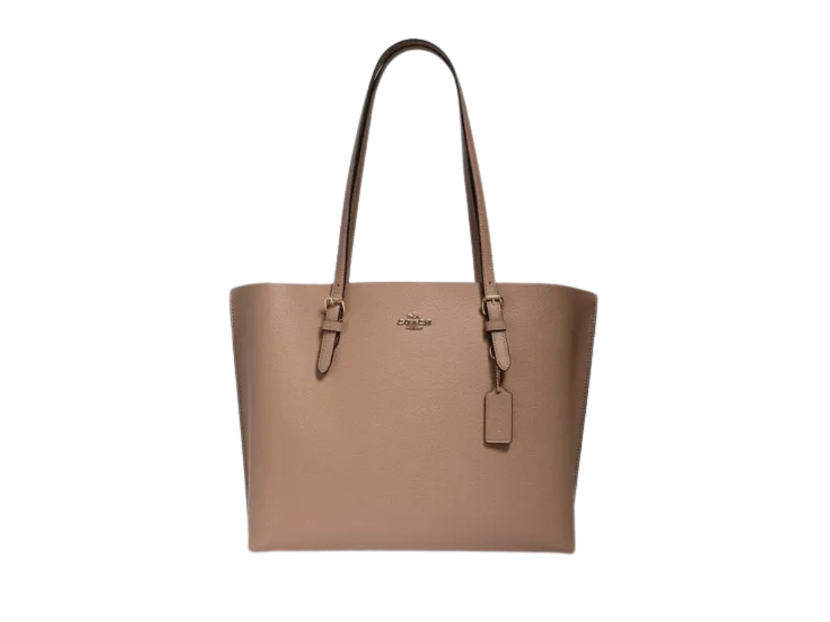 https://d2cva83hdk3bwc.cloudfront.net/coach-mollie-1671-in-pebble-leather-with-gold-hardware-taupe-ossenbloed-1.jpg