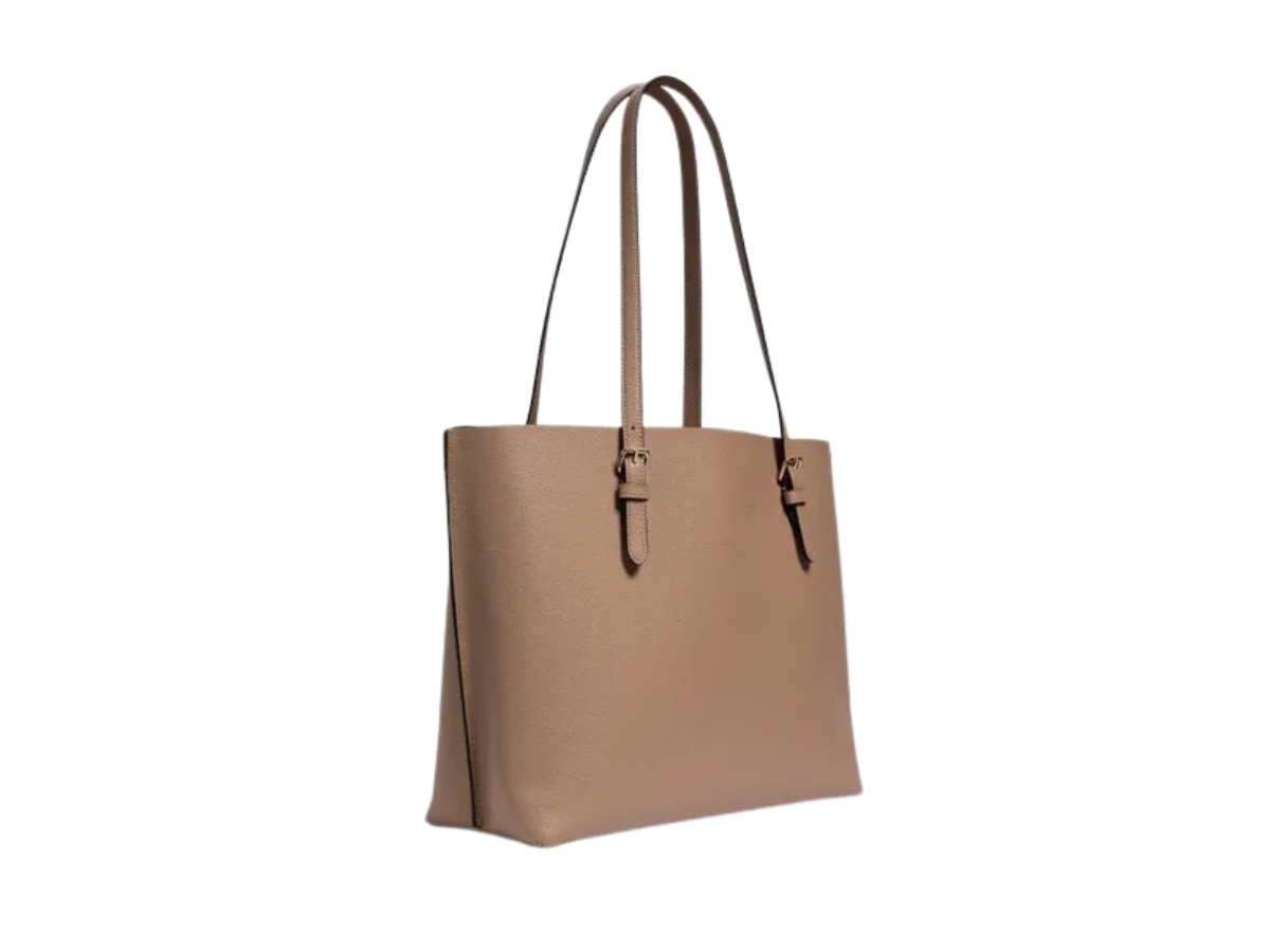 https://d2cva83hdk3bwc.cloudfront.net/coach-mollie-1671-in-pebble-leather-with-gold-hardware-taupe-ossenbloed-2.jpg