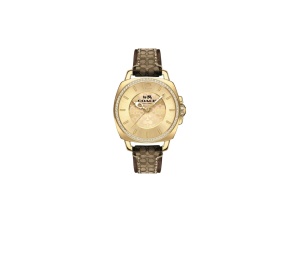 Buy Coach Boyfriend Watch Interchangeable Strap Gift Set 34mm Gold at Sasom – Authentic and Ready to Ship