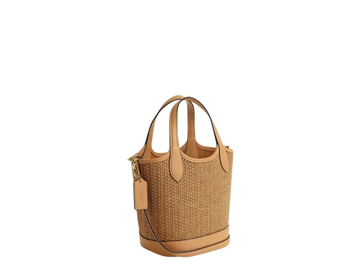 https://d2cva83hdk3bwc.cloudfront.net/cr351-imwqb-coach-hanna-bucket-bag-im-latte-2.jpg