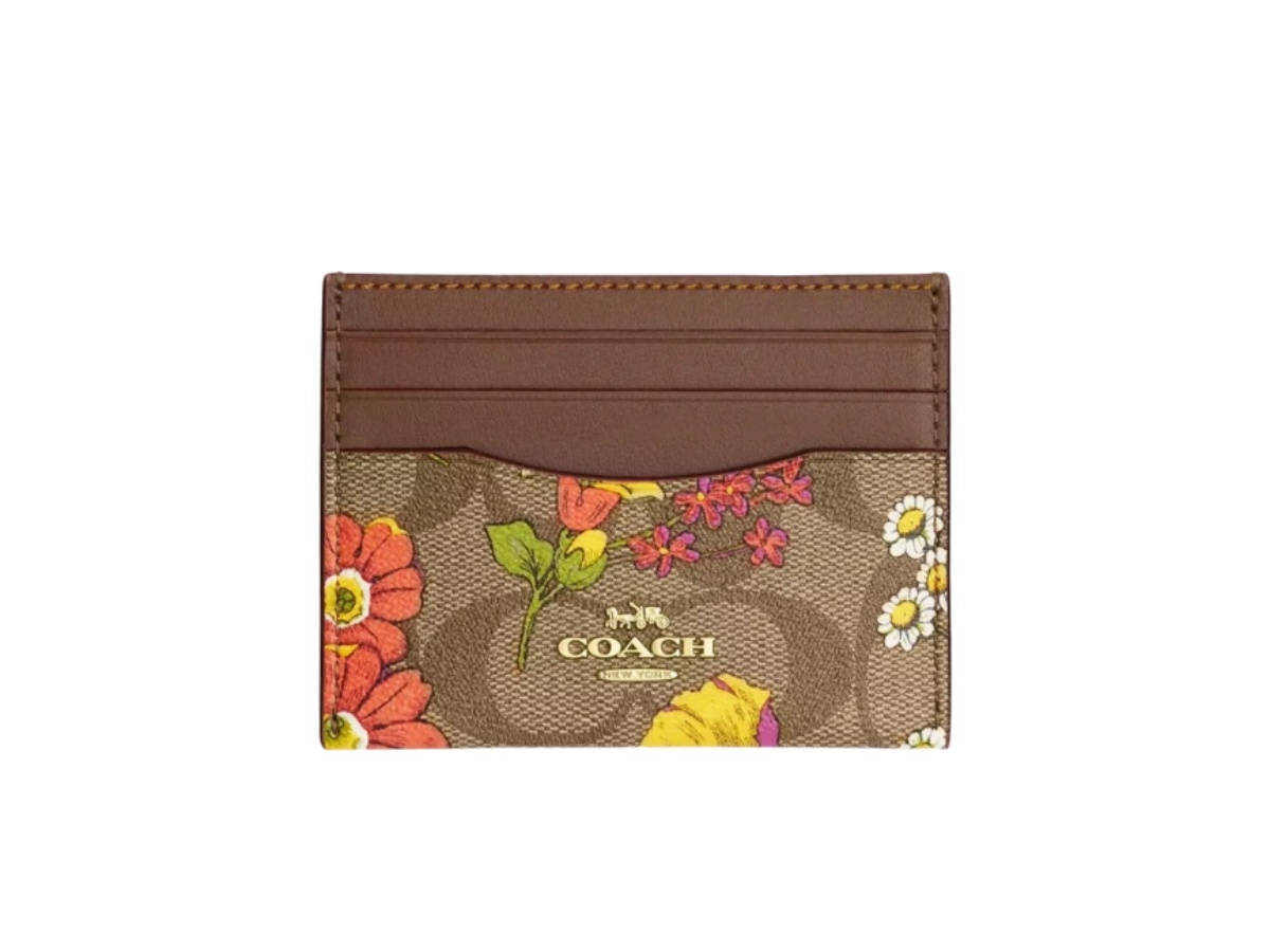 https://d2cva83hdk3bwc.cloudfront.net/cr839-multicolor-coach-slim-id-card-case-multicolor-1.jpg