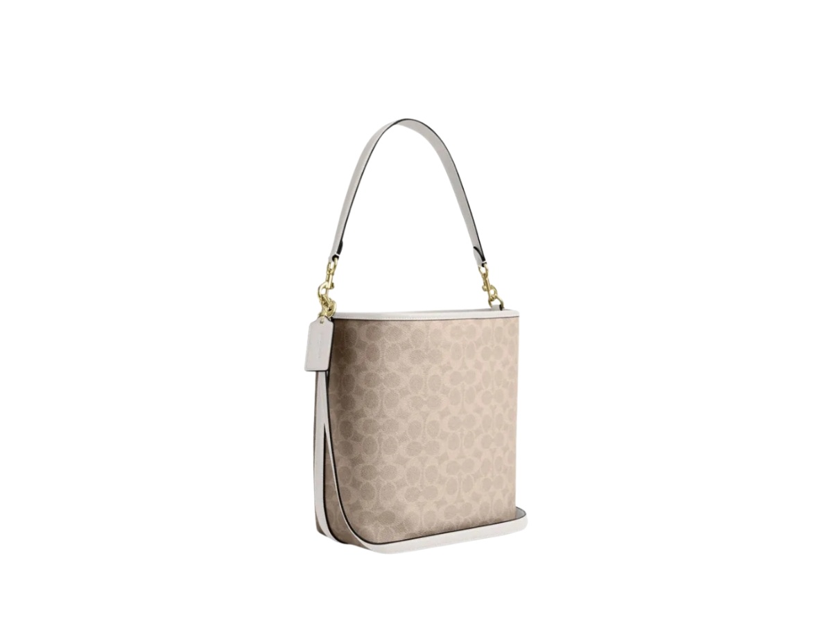 https://d2cva83hdk3bwc.cloudfront.net/ct802-chalk-coach-city-large-bucket-bag-in-signature-canvas-sand-chalk-2.jpg