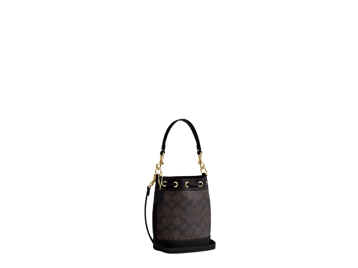 https://d2cva83hdk3bwc.cloudfront.net/cw299-coach-mini-bucket-bag-in-gold-hardware-with-walnut-black-2.jpg