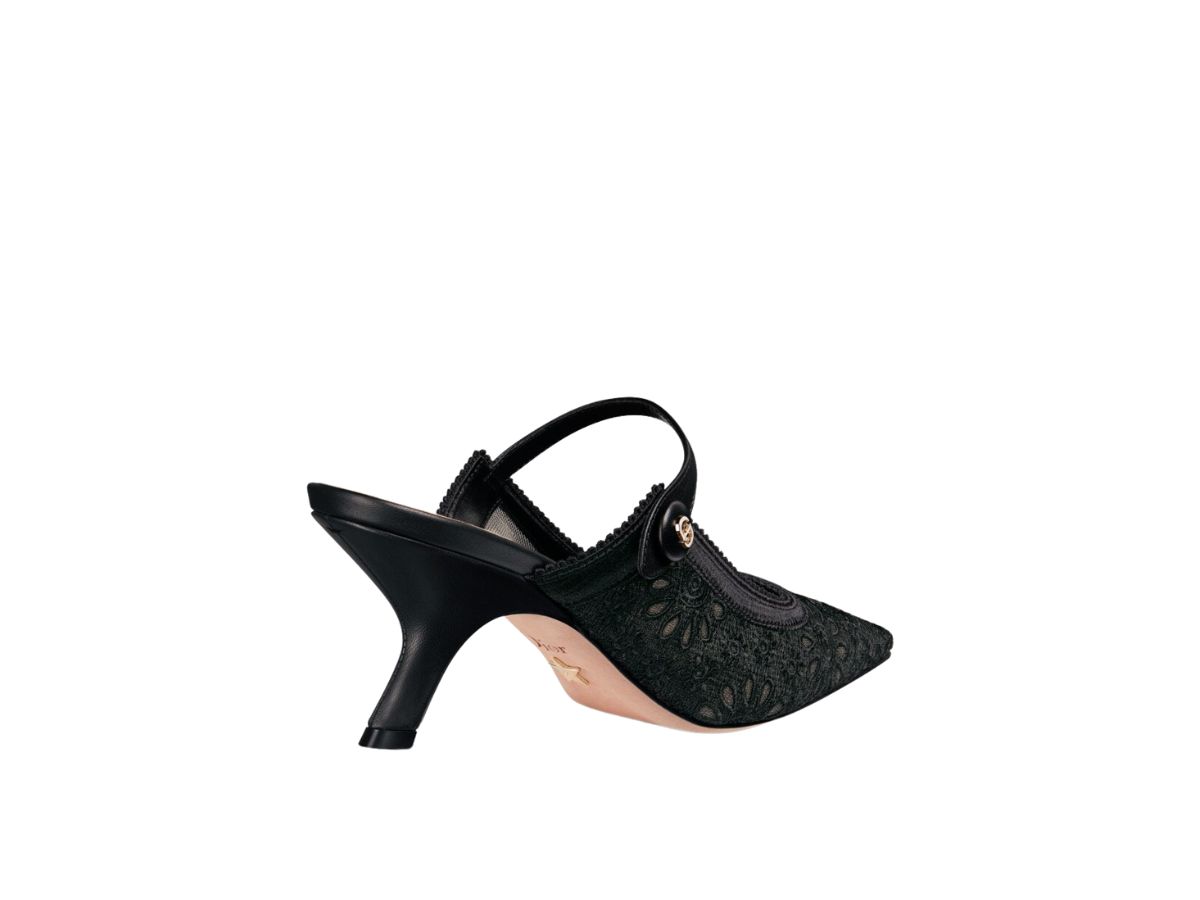 https://d2cva83hdk3bwc.cloudfront.net/dior-capture-heeled-mule-in-transparent-mesh-embroidered-with-black-saint-gall-motif--w--3.jpg