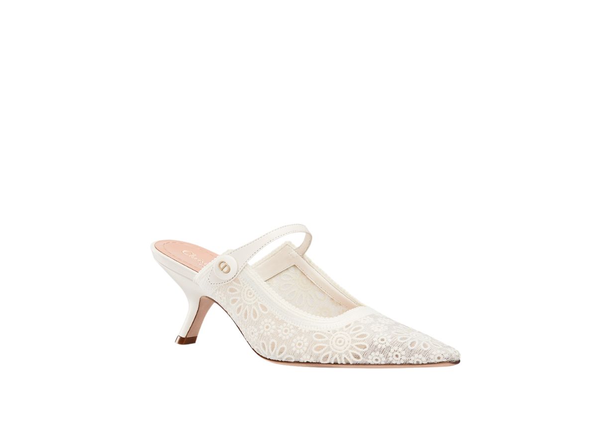 https://d2cva83hdk3bwc.cloudfront.net/dior-capture-heeled-mule-in-transparent-mesh-embroidered-with-white-saint-gall-motif--w--2.jpg