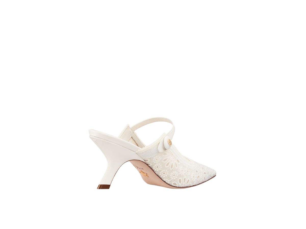 https://d2cva83hdk3bwc.cloudfront.net/dior-capture-heeled-mule-in-transparent-mesh-embroidered-with-white-saint-gall-motif--w--3.jpg