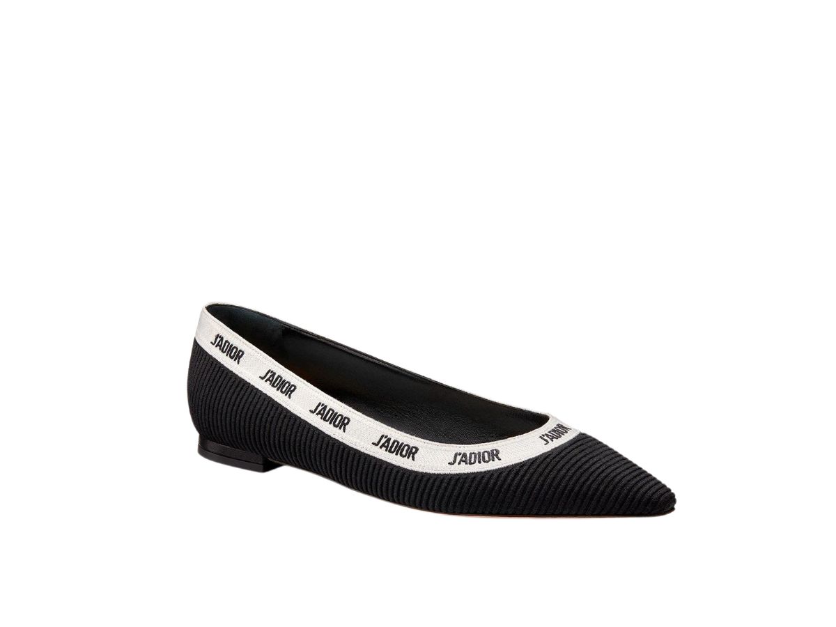 https://d2cva83hdk3bwc.cloudfront.net/dior-j-adior-embroidered-ballet-flat-in-technical-fabric-black-2.jpg