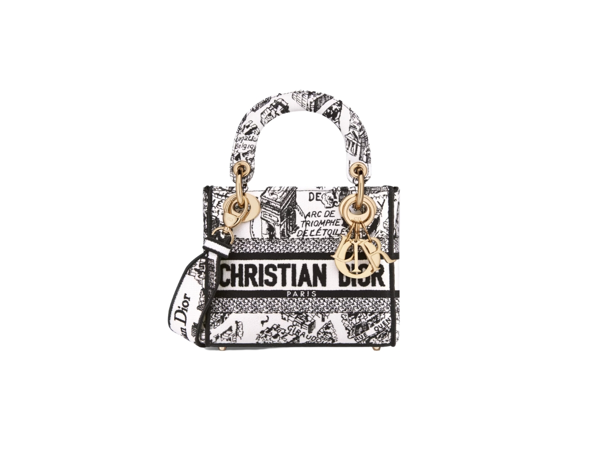 Dior bag online d