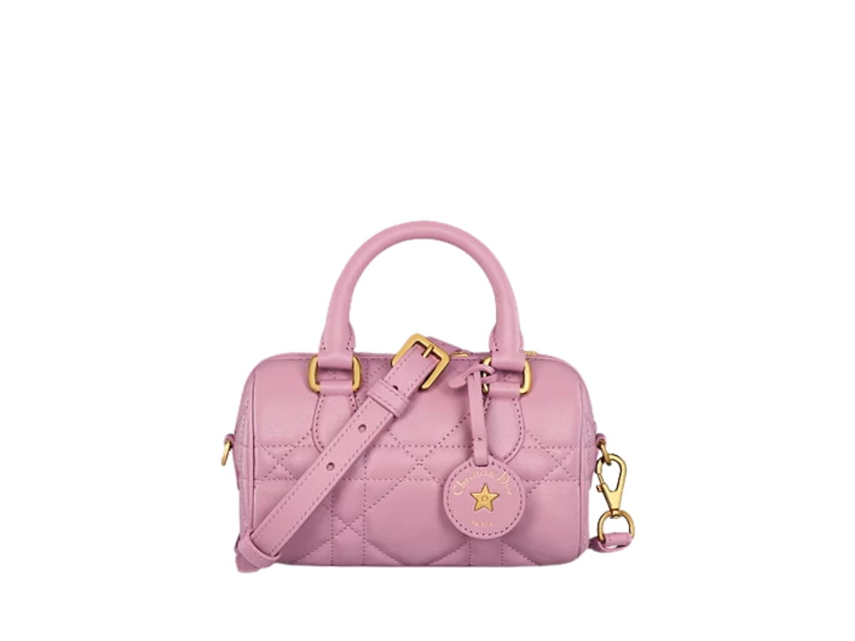 Dior Nano Dior Groove 17 Bag In Calfskin Leather With Gold