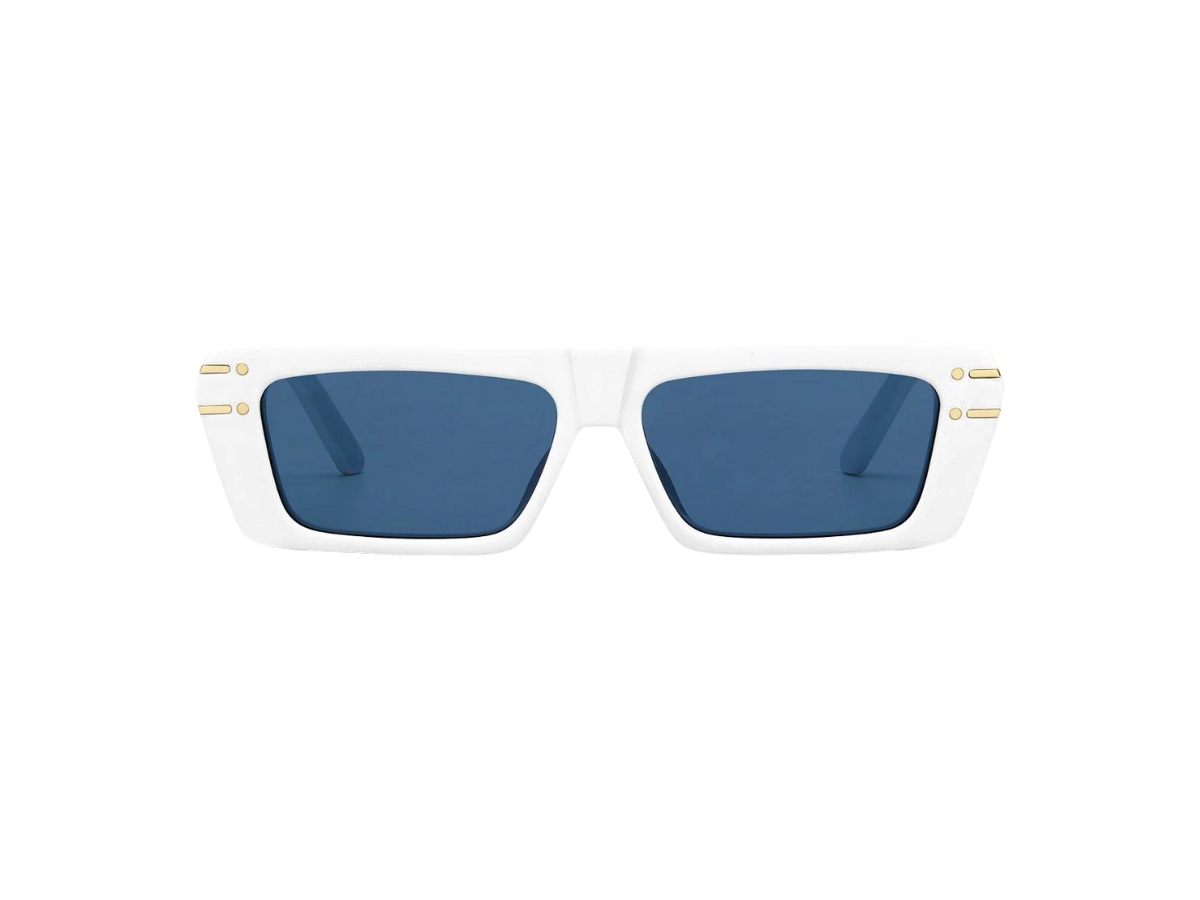 Dior Diorsignature S2U Sunglasses Mens Fashion Watches  Accessories  Sunglasses  Eyewear on Carousell