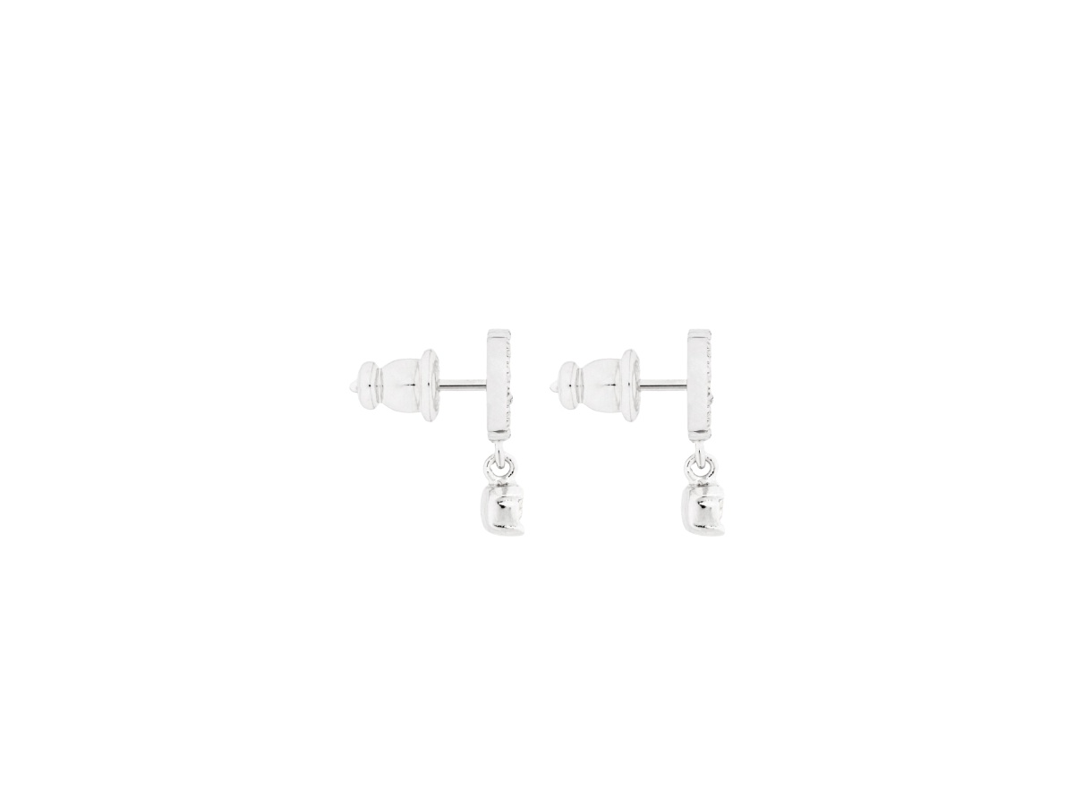 https://d2cva83hdk3bwc.cloudfront.net/e3365womcy-d001-dior-petit-cd-earrings-silver-crystal-white-3.jpg