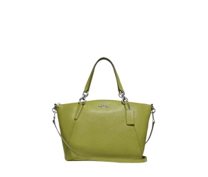 Buy Coach Small Kelsey Satchel With Floral Bud Print Interior Yellow Green Silver at Sasom – Authentic and Ready to Ship