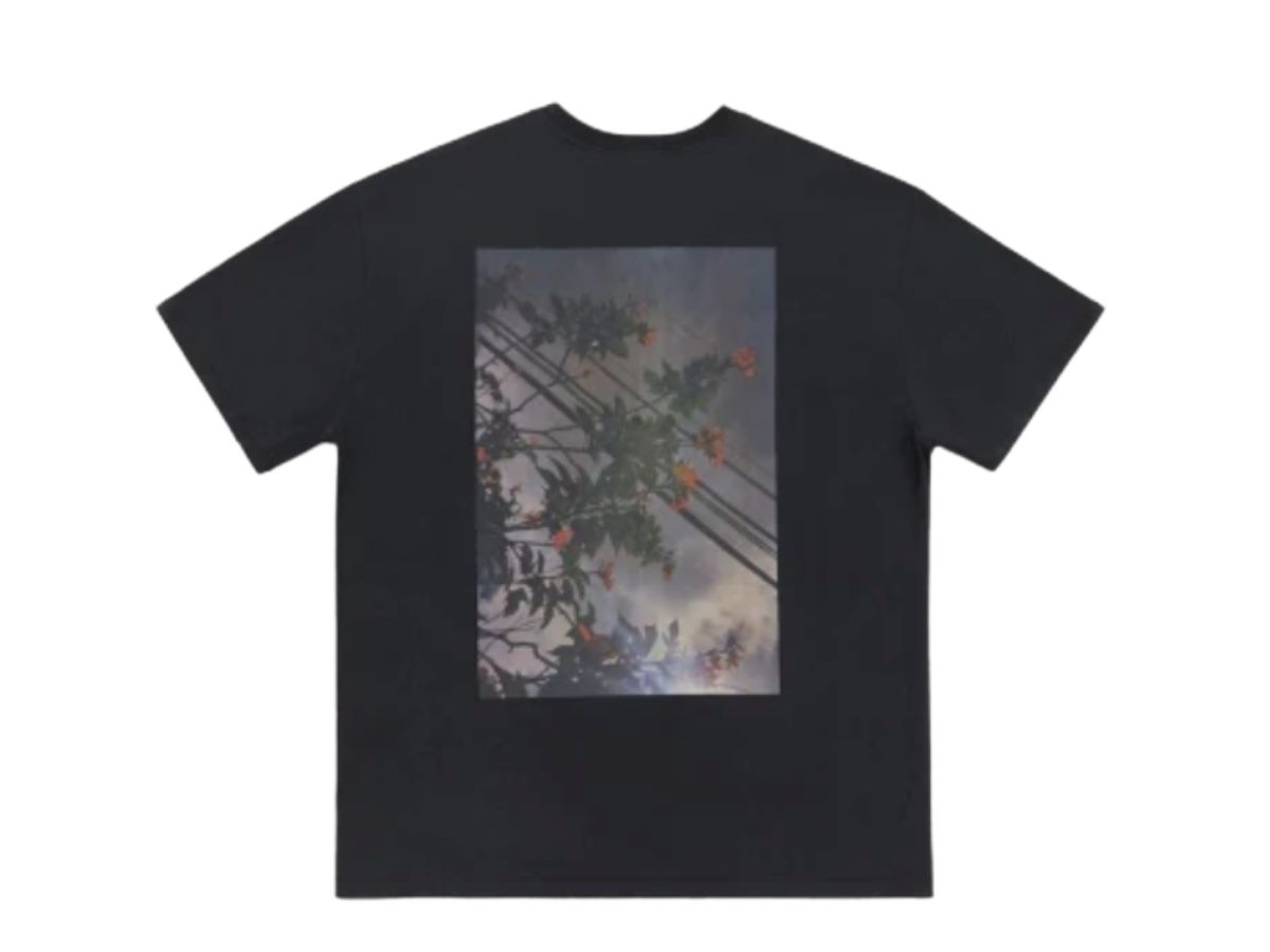 https://d2cva83hdk3bwc.cloudfront.net/fear-of-god-essentials-photo-floral-print-photo-short-sleeve-t-shirt-black-1.jpg