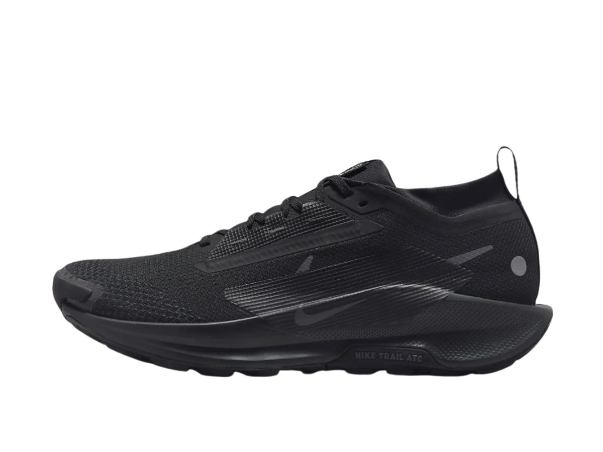 https://d2cva83hdk3bwc.cloudfront.net/fq0908-002-nike-react-pegasus-trail-5-gore-tex-black-anthracite-2.jpg