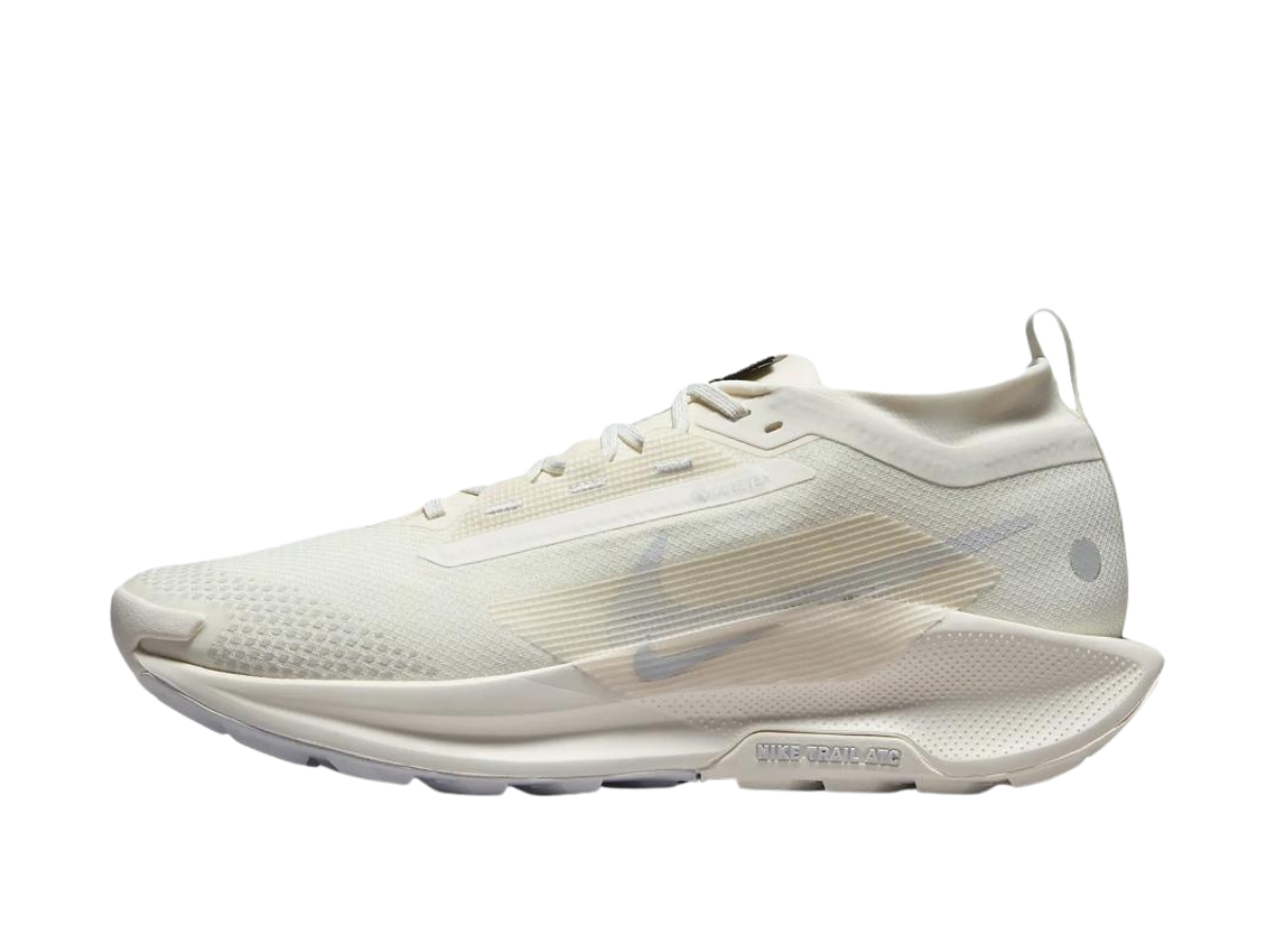 https://d2cva83hdk3bwc.cloudfront.net/fq0908-101-nike-react-pegasus-trail-5-gore-tex-white-photon-dust-2.jpg