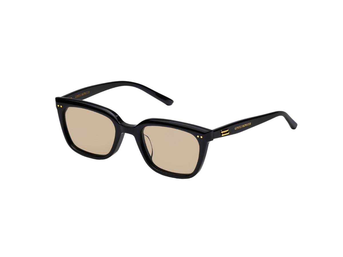 Gentle Monster Breezebe 01(BR) In Black acetate frame With