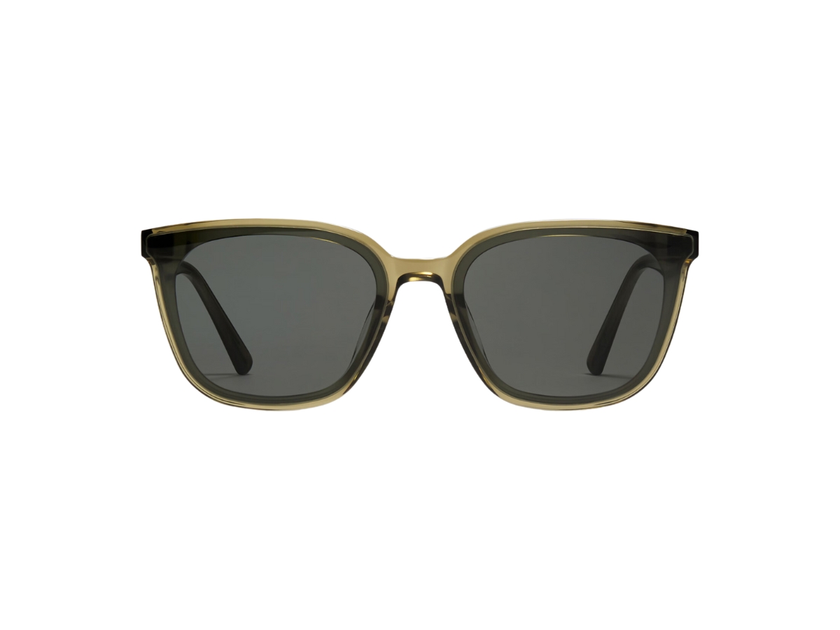 Gentle Monster Tam KC1 Sunglasses In Translucent khaki acetate 