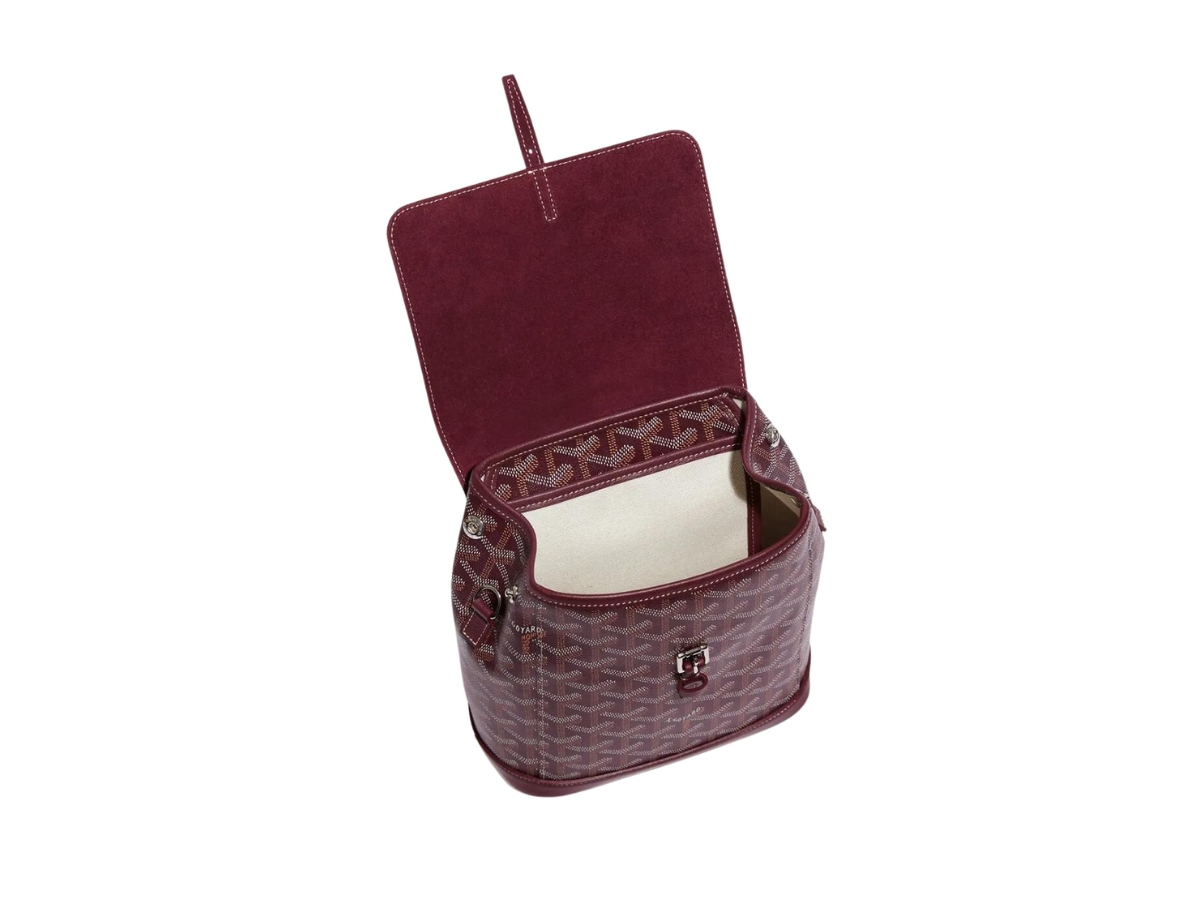 https://d2cva83hdk3bwc.cloudfront.net/goyard-alpin-mini-backpack-in-goyardine-canvas-and-chevroches-calfskin-with-palladium-hardware-burgundy-3.jpg