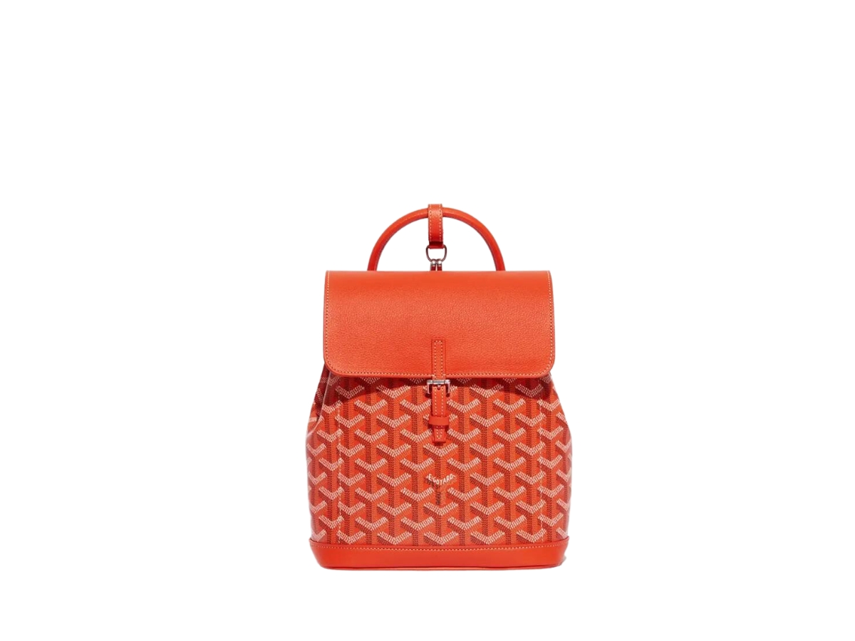 https://d2cva83hdk3bwc.cloudfront.net/goyard-alpin-mini-backpack-in-goyardine-canvas-and-chevroches-calfskin-with-palladium-hardware-orange-1.jpg