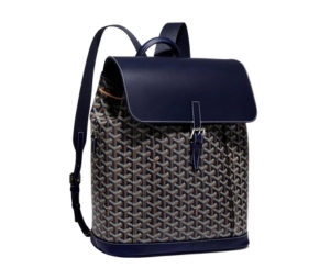 Buy Goyard Alpin MM Backpack at Sasom – Authentic and Ready to Ship