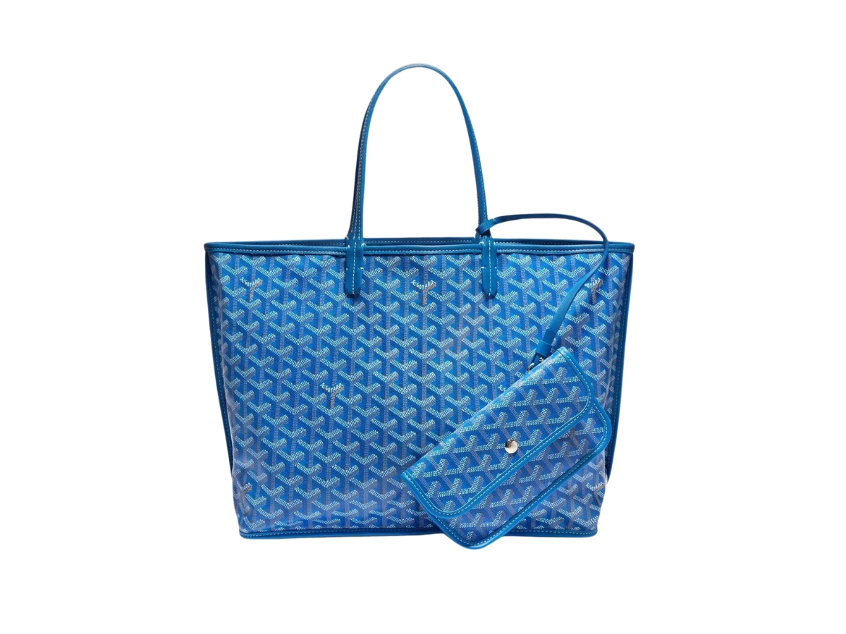 https://d2cva83hdk3bwc.cloudfront.net/goyard-anjou-pm-bag-in-chevroches-calfskin-goyardine-canvas-with-palladium-hardware-sky-blue-1.jpg