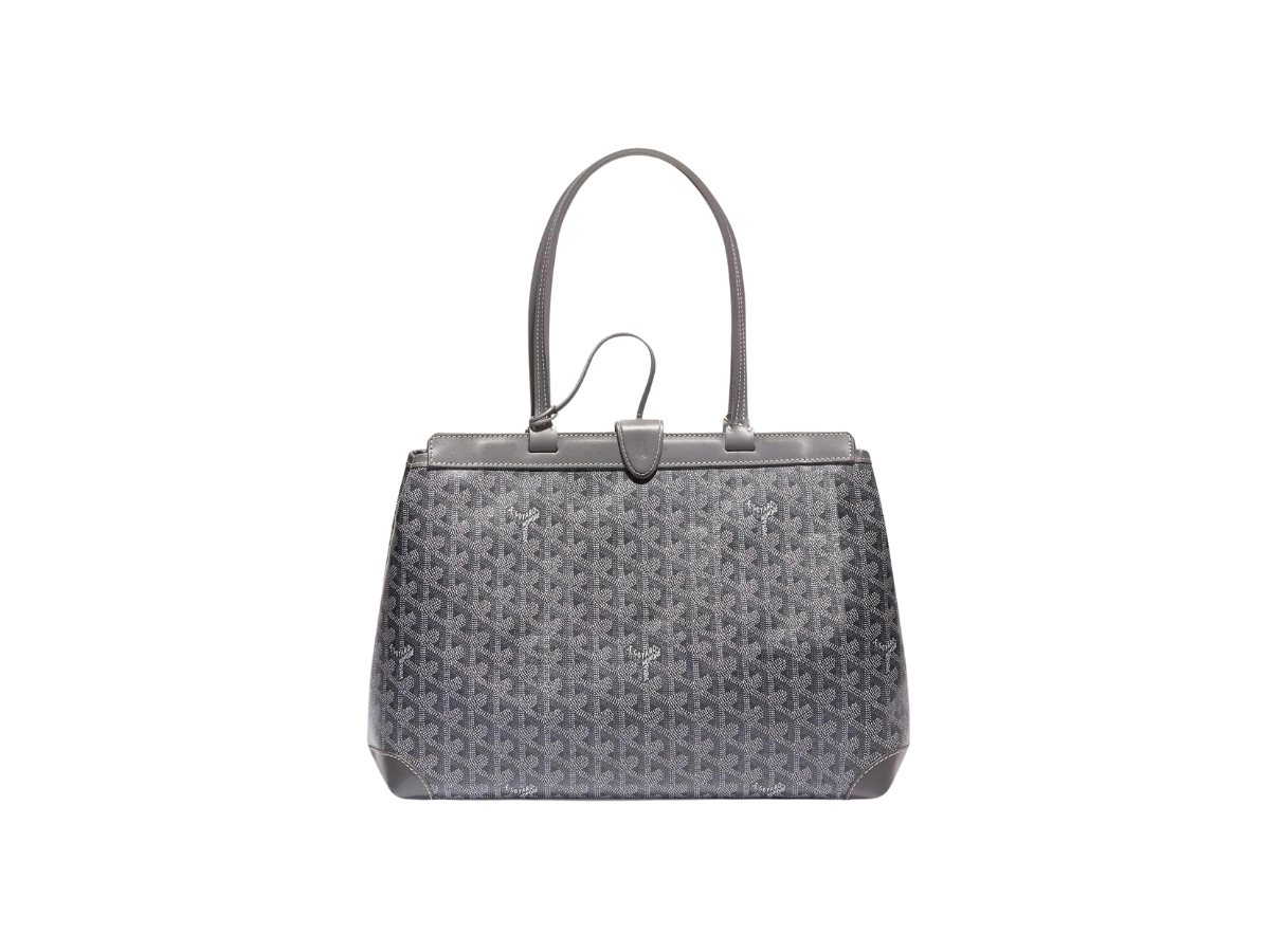 https://d2cva83hdk3bwc.cloudfront.net/goyard-bellechasse-biaude-pm-bag-in-goyardine-canvas---cervon-calfskin-leather-grey-2.jpg