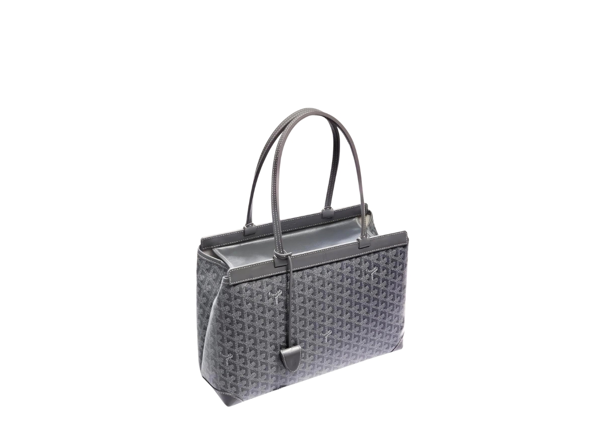 https://d2cva83hdk3bwc.cloudfront.net/goyard-bellechasse-biaude-pm-bag-in-goyardine-canvas---cervon-calfskin-leather-grey-3.jpg