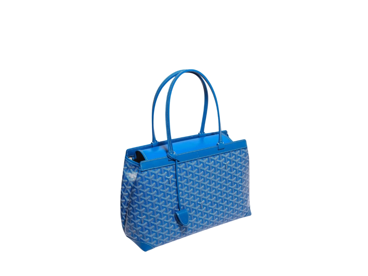 https://d2cva83hdk3bwc.cloudfront.net/goyard-bellechasse-biaude-pm-bag-in-goyardine-canvas---cervon-calfskin-leather-sky-blue-3.jpg