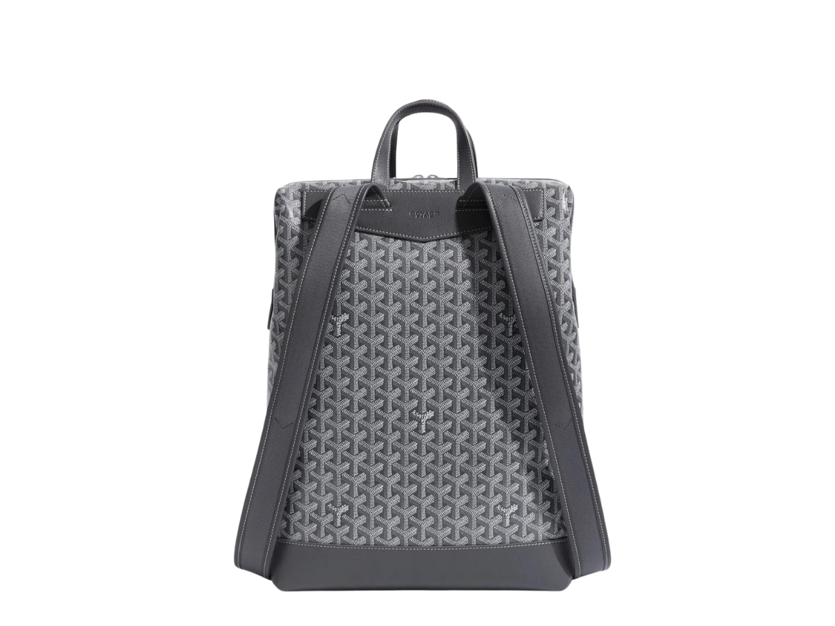 https://d2cva83hdk3bwc.cloudfront.net/goyard-cisalpin-backpack-in-goyardine-canvas---chevroches-calfskin-with-palladium-hardware-grey-2.jpg
