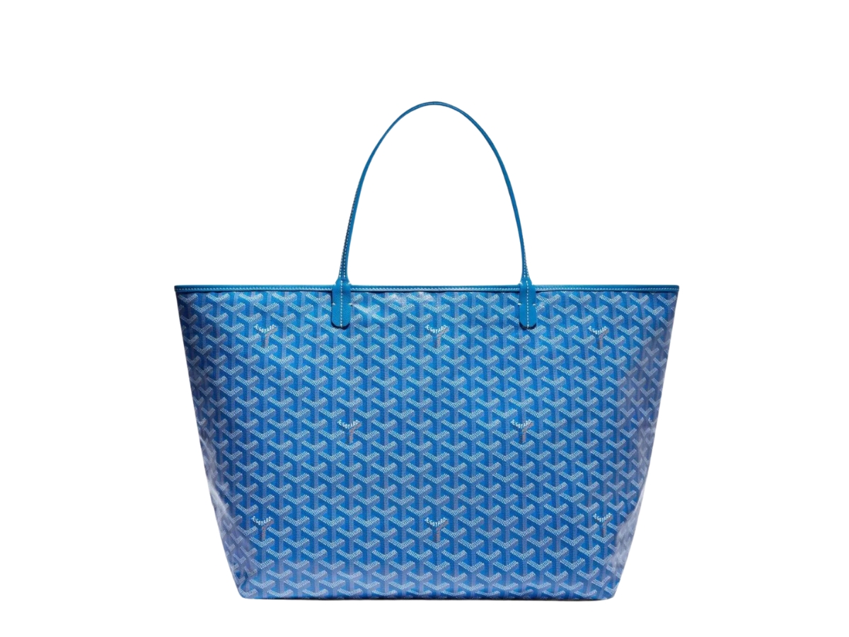 https://d2cva83hdk3bwc.cloudfront.net/goyard-saint-louis-gm-bag-in-goyardine-canvas-chevroches-calfskin-with-palladium-hardware-sky-blue-2.jpg