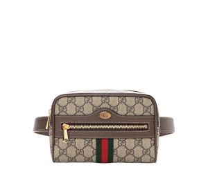 Buy Gucci Ophidia Belt Bag at Sasom – Authentic and Ready to Ship