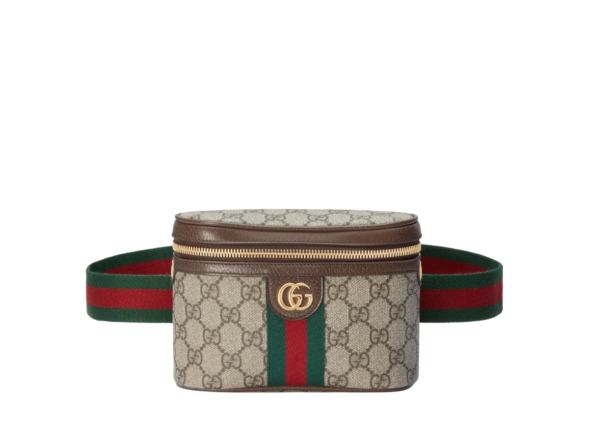 https://d2cva83hdk3bwc.cloudfront.net/gucci-ophidia-belt-bag-with-web-in-beige-and-ebony-gg-supreme-canvas-with-gold-toned-hardware-3.jpg