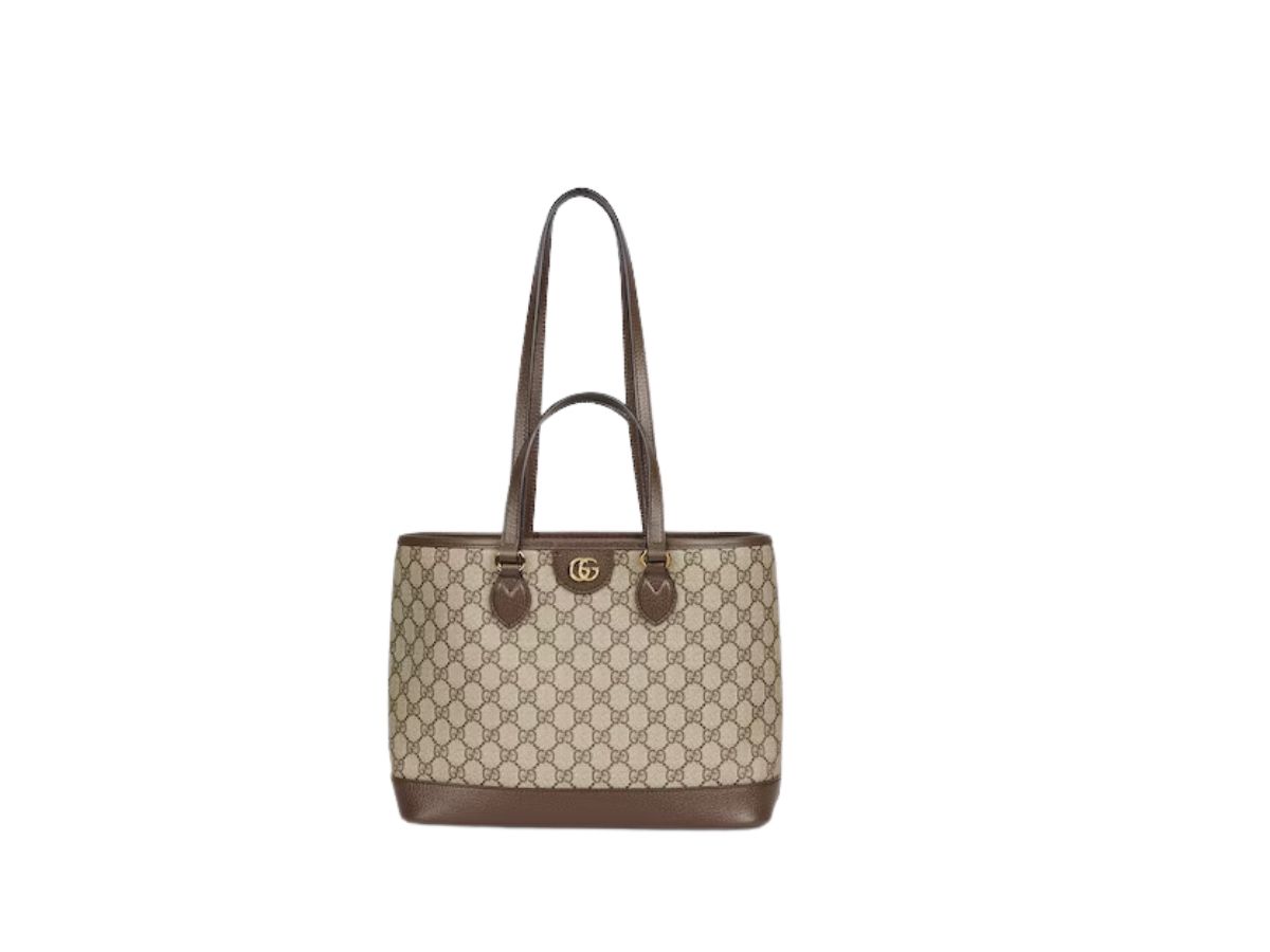 https://d2cva83hdk3bwc.cloudfront.net/gucci-ophidia-gg-mini-tote-bag-in-beige-and-ebony-gg-supreme-canvas-with-gold-toned-hardware-1.jpg