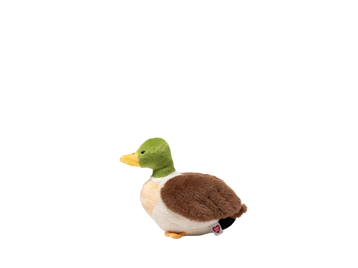 https://d2cva83hdk3bwc.cloudfront.net/hm30gd076-human-made-duck-stuffed-toy-green-3.jpg