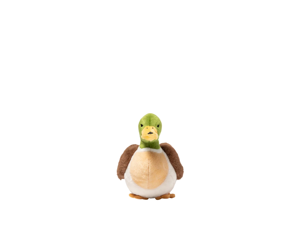 https://d2cva83hdk3bwc.cloudfront.net/hm30gd076-human-made-duck-stuffed-toy-green-4.jpg